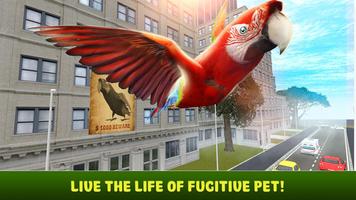 City Bird Parrot Simulator 3D Affiche