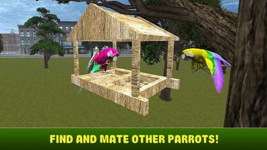 City bird parrot simulator 3d City bird parrot simulator 3d