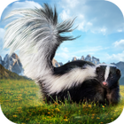 Skunk Simulator 3D icon