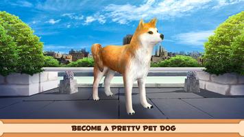 Play With Your Dog: Shiba Inu Poster