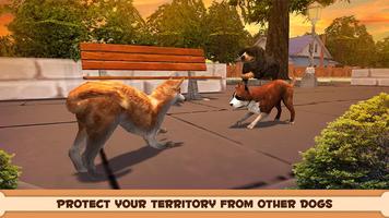 Play With Your Dog: Shiba Inu screenshot 1