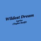 Wildest Dreams ikon