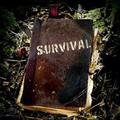 Wilderness Survivial Guide