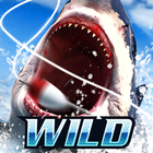 Wild Fishing Simulator ikona