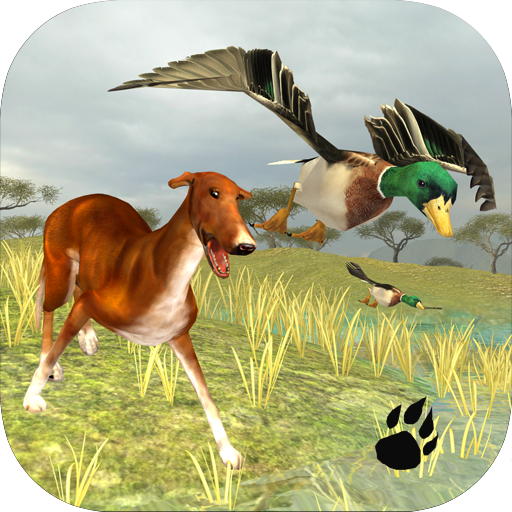 Bird Dog Simulator