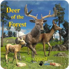Deer of the Forest XAPK Herunterladen