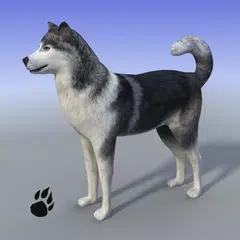 Descargar APK de Snow Dog Survival Simulator