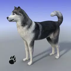 Скачать Snow Dog Survival Simulator APK