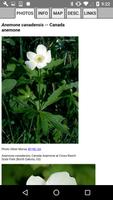 Ohio Wildflowers capture d'écran 3