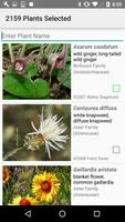 Oregon Wildflower Search screenshot 2