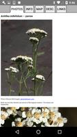 Maryland Wildflowers ภาพหน้าจอ 3