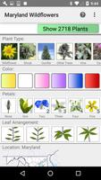 Maryland Wildflowers โปสเตอร์