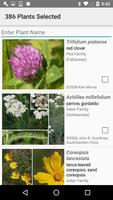 Maryland Wildflowers ภาพหน้าจอ 2