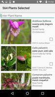 Minnesota Wildflower Search Screenshot 2