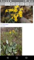 North Carolina Wildflowers capture d'écran 3