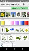North California Wildflowers Cartaz