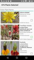 برنامه‌نما New Mexico Wildflowers عکس از صفحه