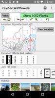 Québec Wildflowers スクリーンショット 1