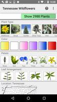 Tennessee Wildflowers Cartaz