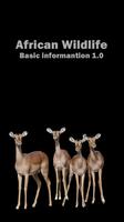 Wildlife Basic Information poster