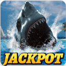 CASINO MEGA WIN : Wild Shark Slot Machine-APK