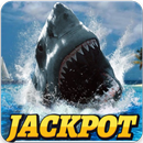 CASINO MEGA WIN : Wild Shark Slot Machine aplikacja