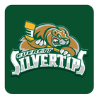 Everett Silvertips أيقونة