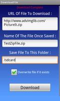 DownloadFile screenshot 1