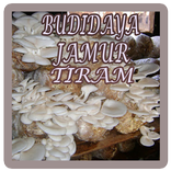 Budidaya Jamur Tiram