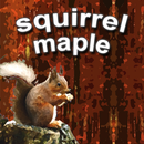 squirrel maple APK
