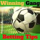 Winning Gang Betting Tips APK