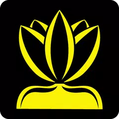 Lotus - Gerenciamento de contas de mídia social