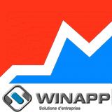 WinApp Sales Report-icoon