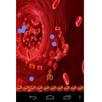 APK Fast War