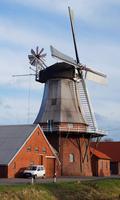 Windmill Wallpaper Affiche