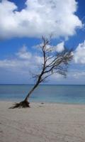 300 HD Amazing Beach Pictures capture d'écran 2