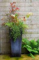 Home Planter Design Ideas capture d'écran 3