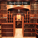Wine Cellar Designs APK