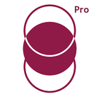 Wine Pro Italy icono