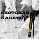 Shotokan Karate ícone