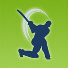 Free Cricket Terms icono