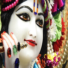 Krishna Live Wallpaper ikon