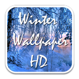 Winter Snow Wallpaper Theme icône