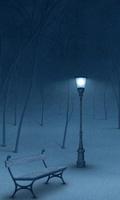 winter night live wallpaper 포스터