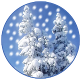 Snow Winter Live Wallpaper icon