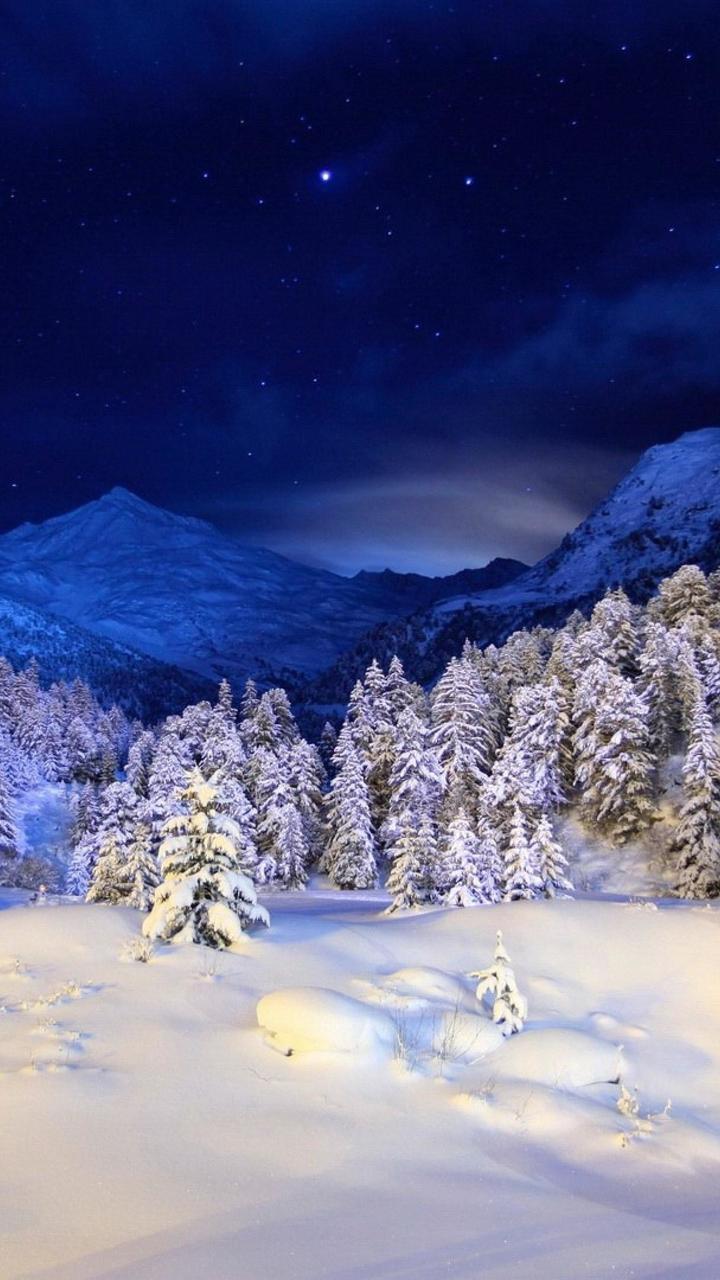 Winter Night Wallpapers For Android Apk Download