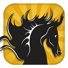 Black Stallion: 3D Horsey Game icône