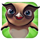 Owl Run: 3D Bird Running Game