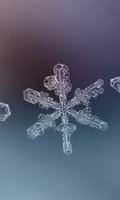 Winter Snowflakes Wallpaper Cartaz