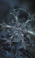 2 Schermata Winter Snowflakes Wallpaper